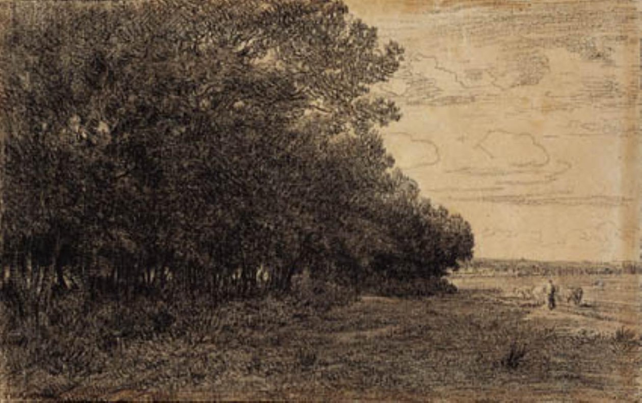 En liten gruppe høye trær ved Macherin-skogen av Theodore Rousseau
