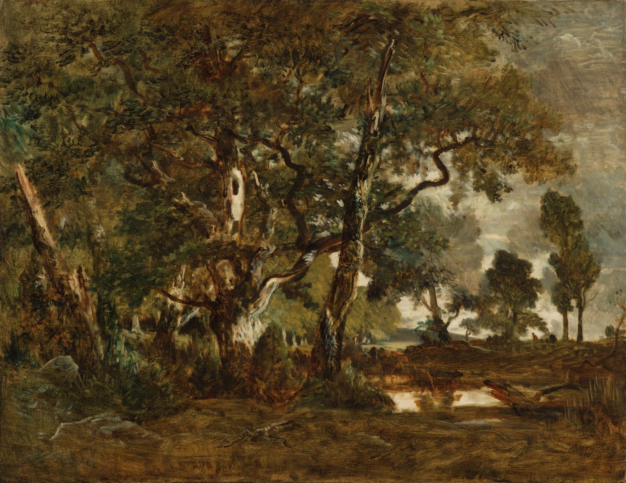  av Theodore Rousseau