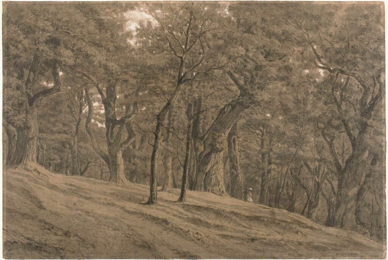  av Theodore Rousseau