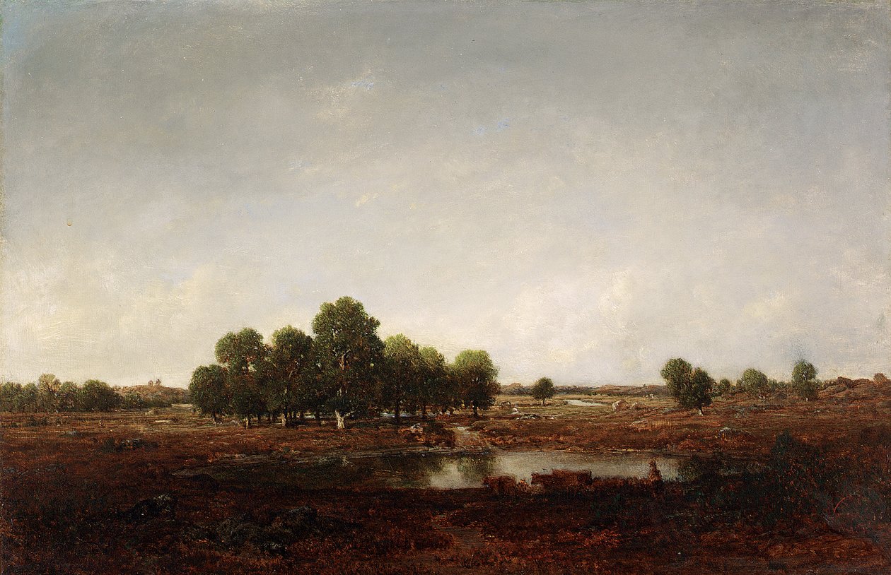 Landskap med myr av Pierre Etienne Theodore Rousseau