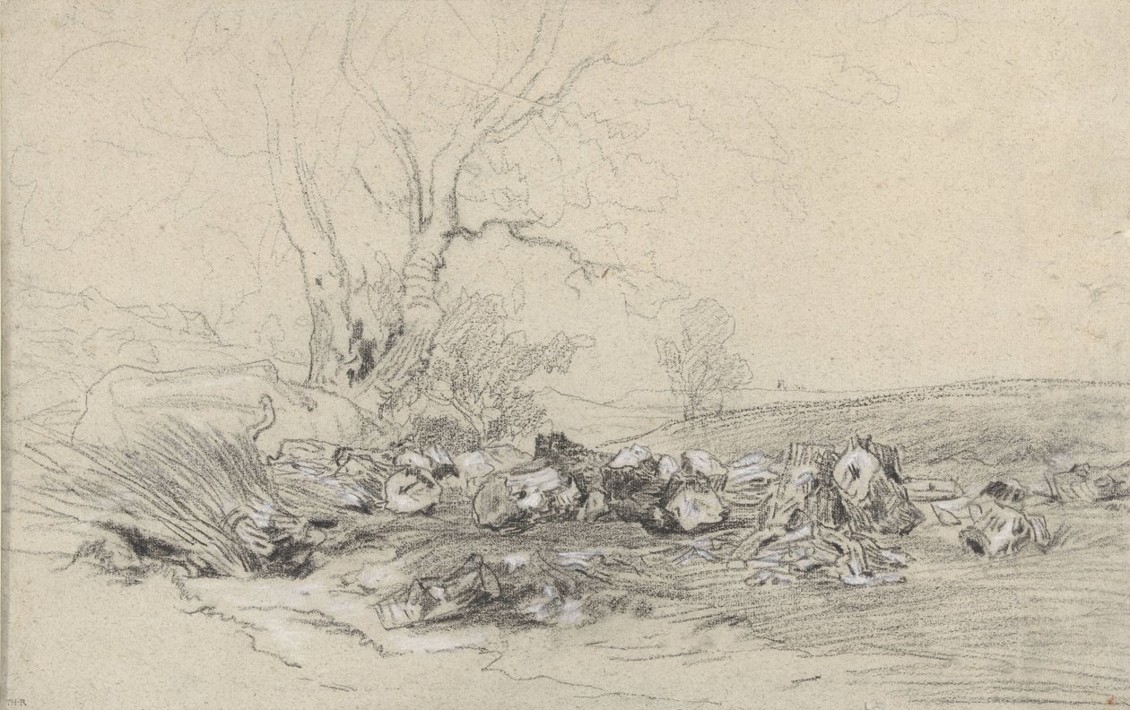 felte trær av Theodore Rousseau