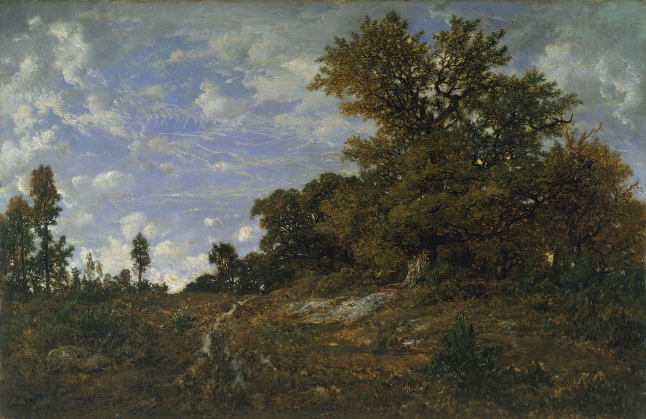 The Edge of the Woods ved Monts-Girard, Fontainebleau-skogen av Pierre Etienne Theodore Rousseau