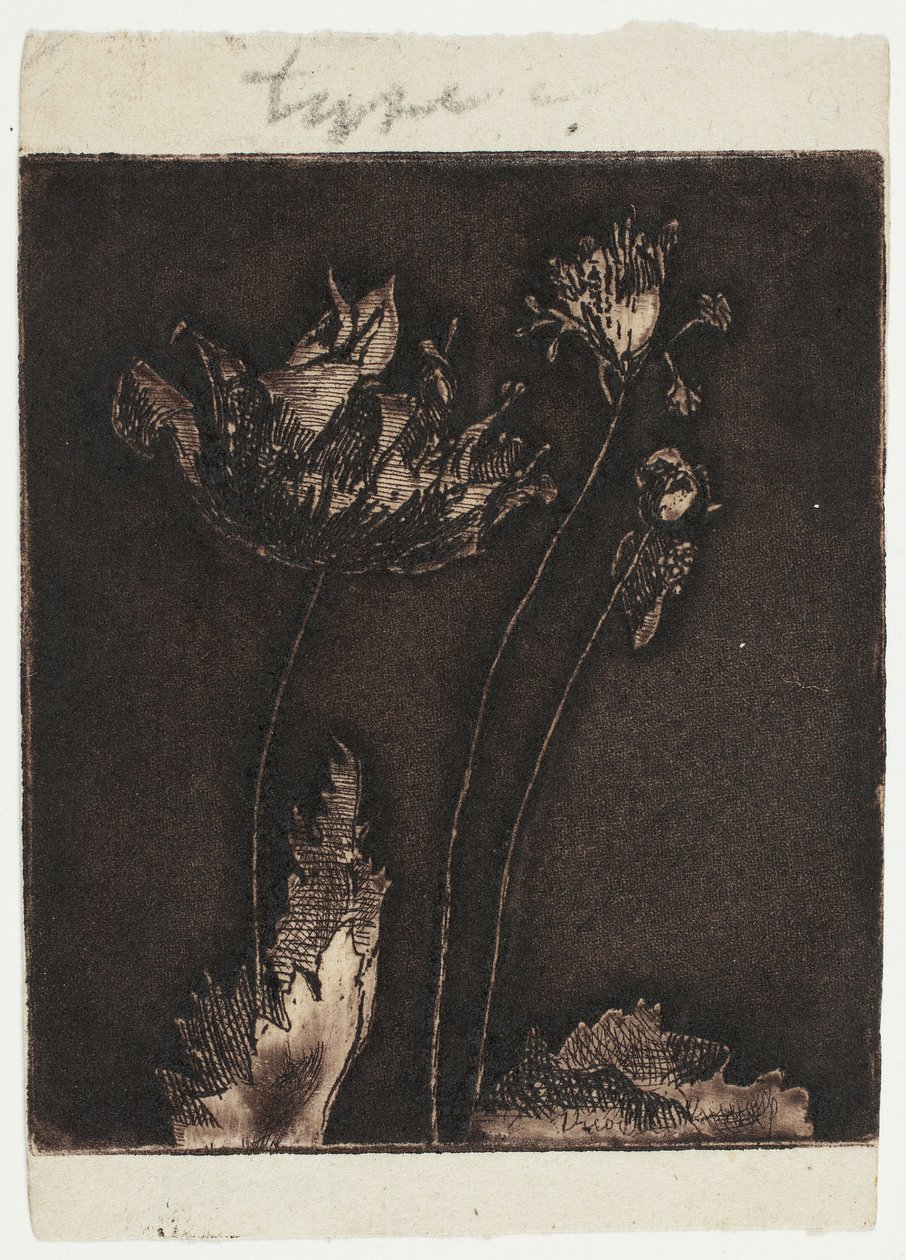 Siste valmuer av Theodore Roussel