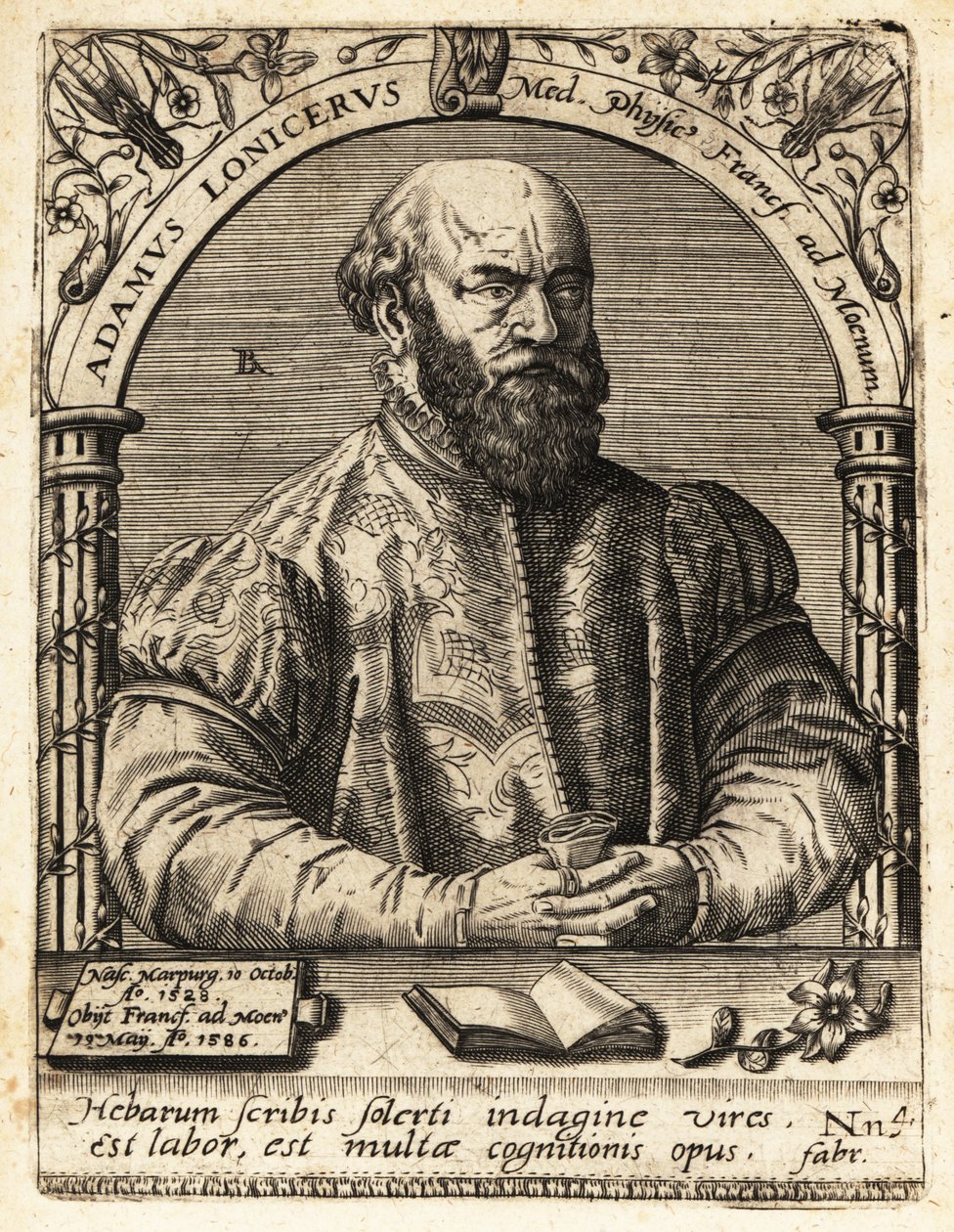 Adam Lonicer eller Lonitzer av Theodore de Bry