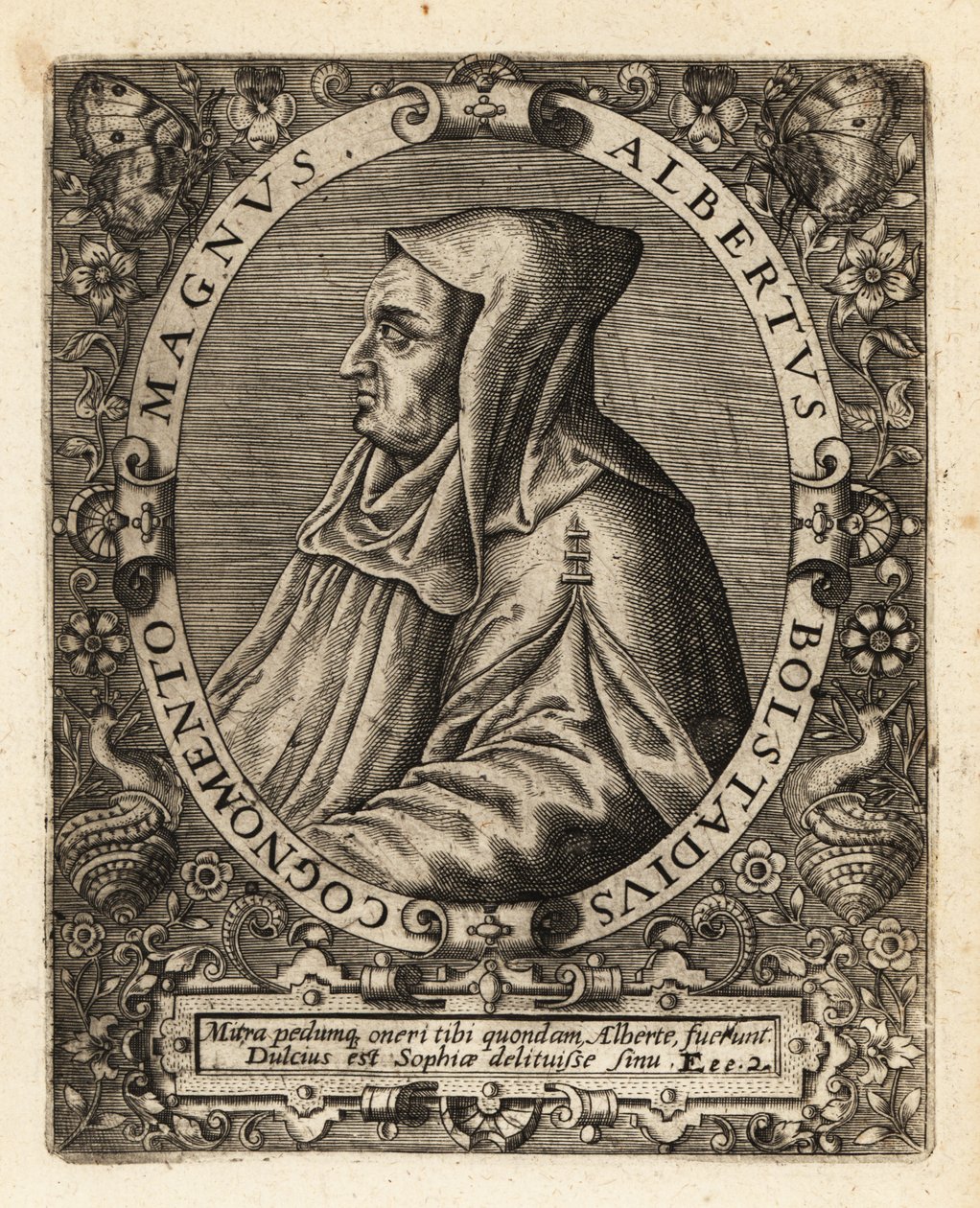 Albertus Magnus, tysk katolsk biskop. av Theodore de Bry