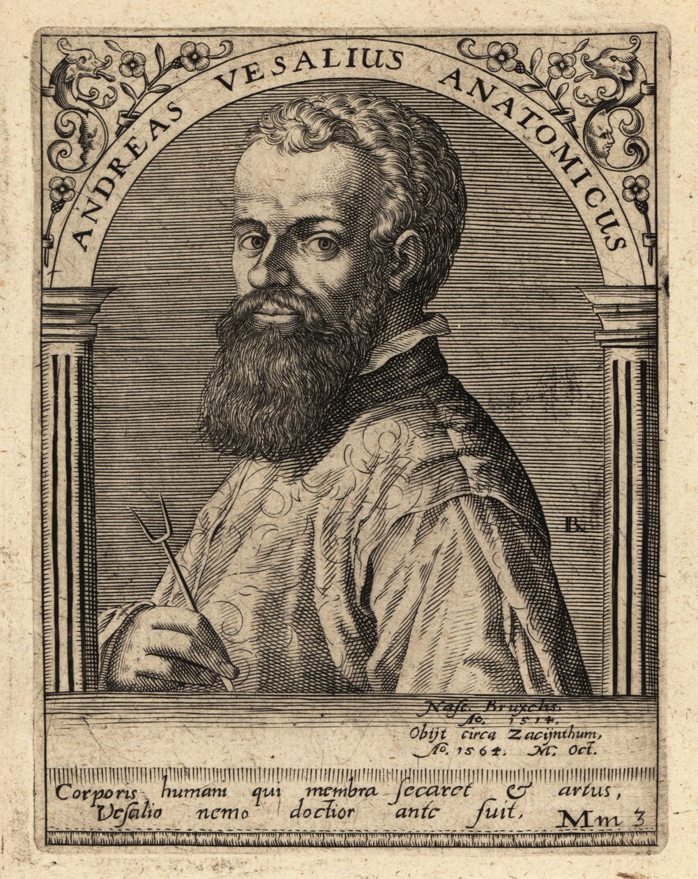 Andreas Vesalius, flamsk lege, anatom av Theodore de Bry