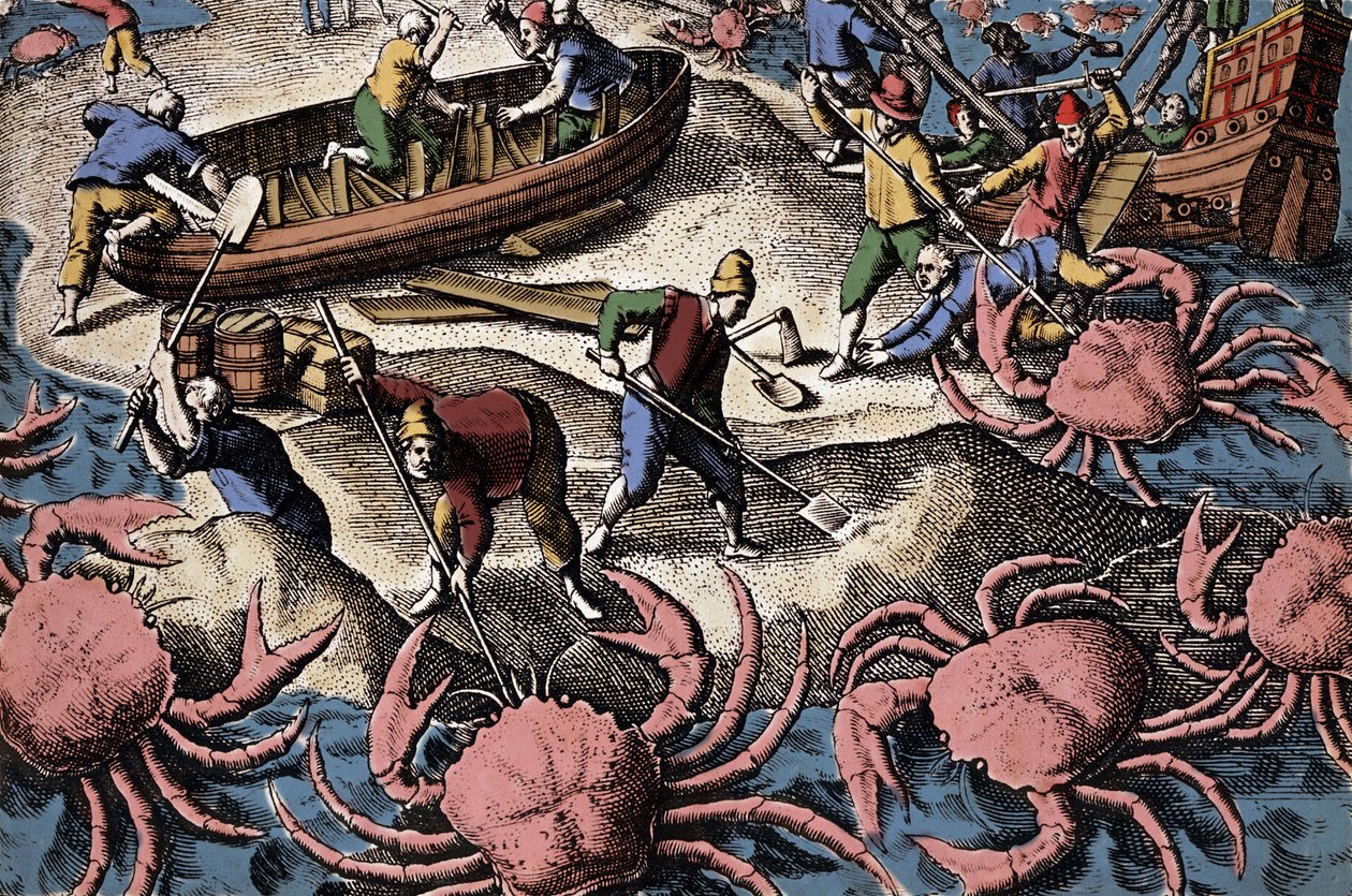 Europeiske navigatører som kjemper mot stor krabbe. Gravering fra "Petities voyages aux Indes Orientales" av Theodore de Bry av Theodore de Bry
