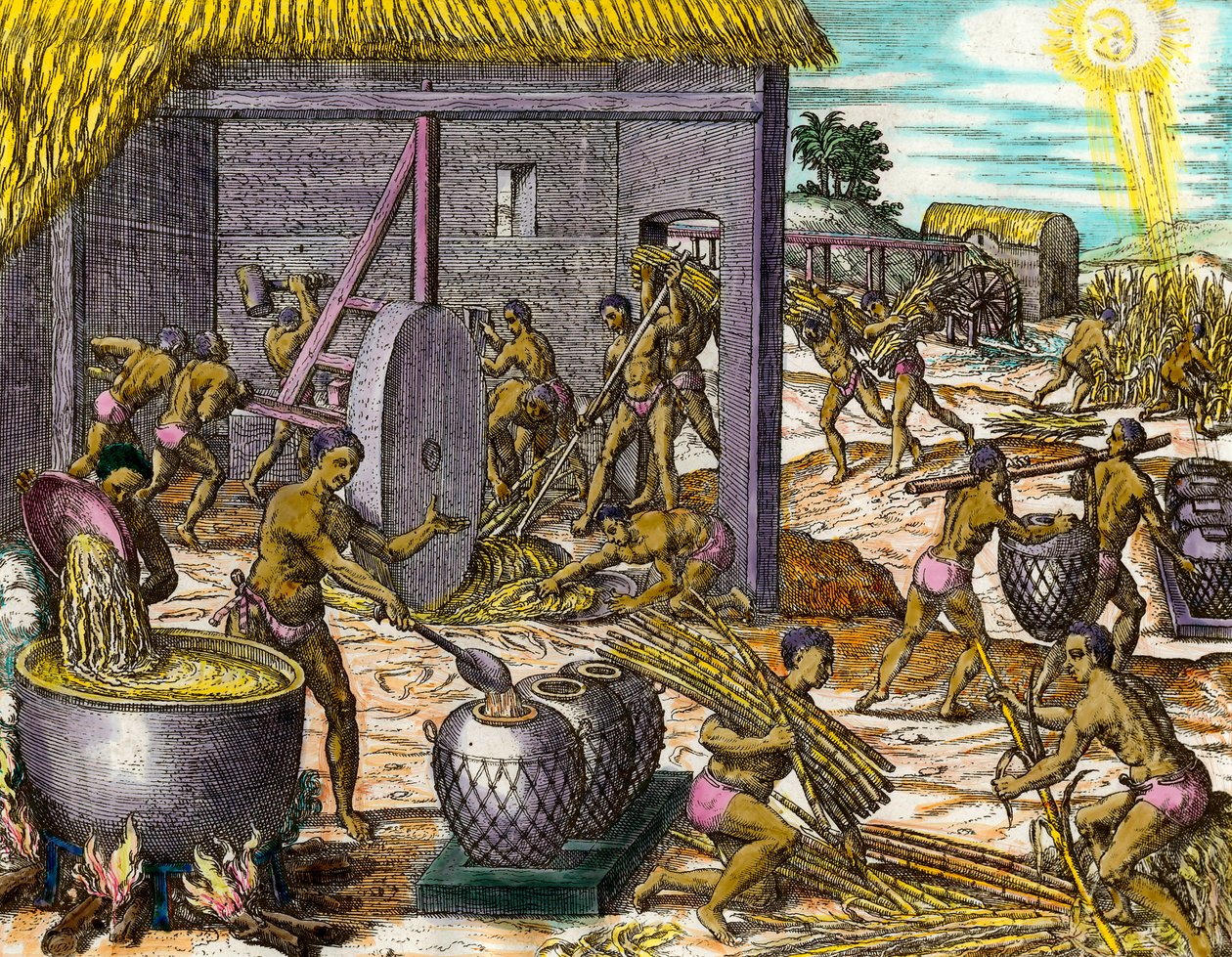 History of America: samle sukkerrør og lage sukker. Gravering av Theodore De Bry (1528-1598) Privat samling fra 1500-tallet av Theodore de Bry