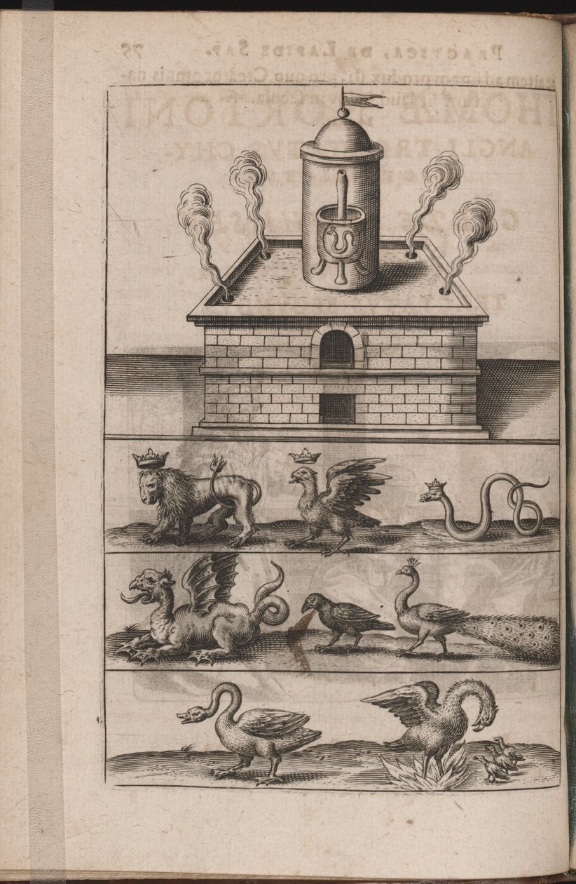 Illustrasjon for Tripus Avrevs, det vil si tre avhandlinger av utvalgte kjemikere.., 1618 av Theodore de Bry