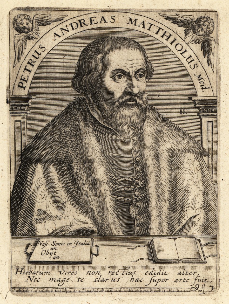 Pietro Andrea Gregorio Mattioli, italiensk lege av Theodore de Bry