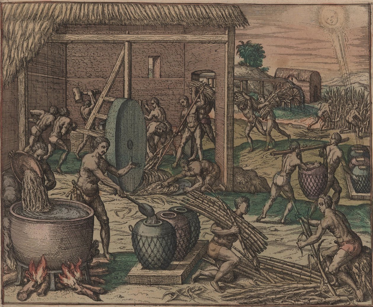 Slaver behandler sukkerrør og lager sukker, 1595. av Theodore de Bry