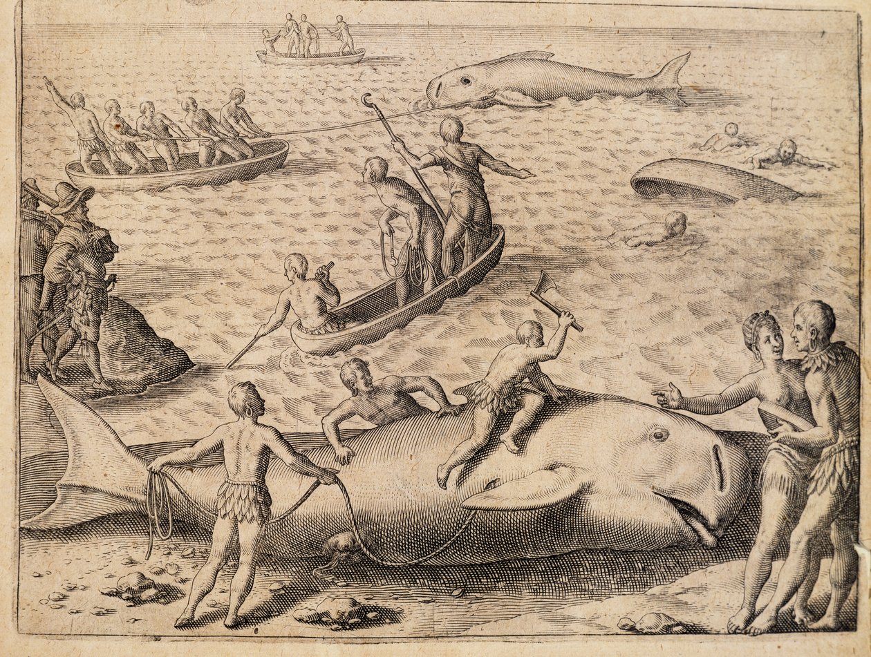Hvalfangst nær Spitsbergen, gravering av Theodor de Bry (1528-1598) fra India Orientalis (Øst-India) av Theodore de Bry
