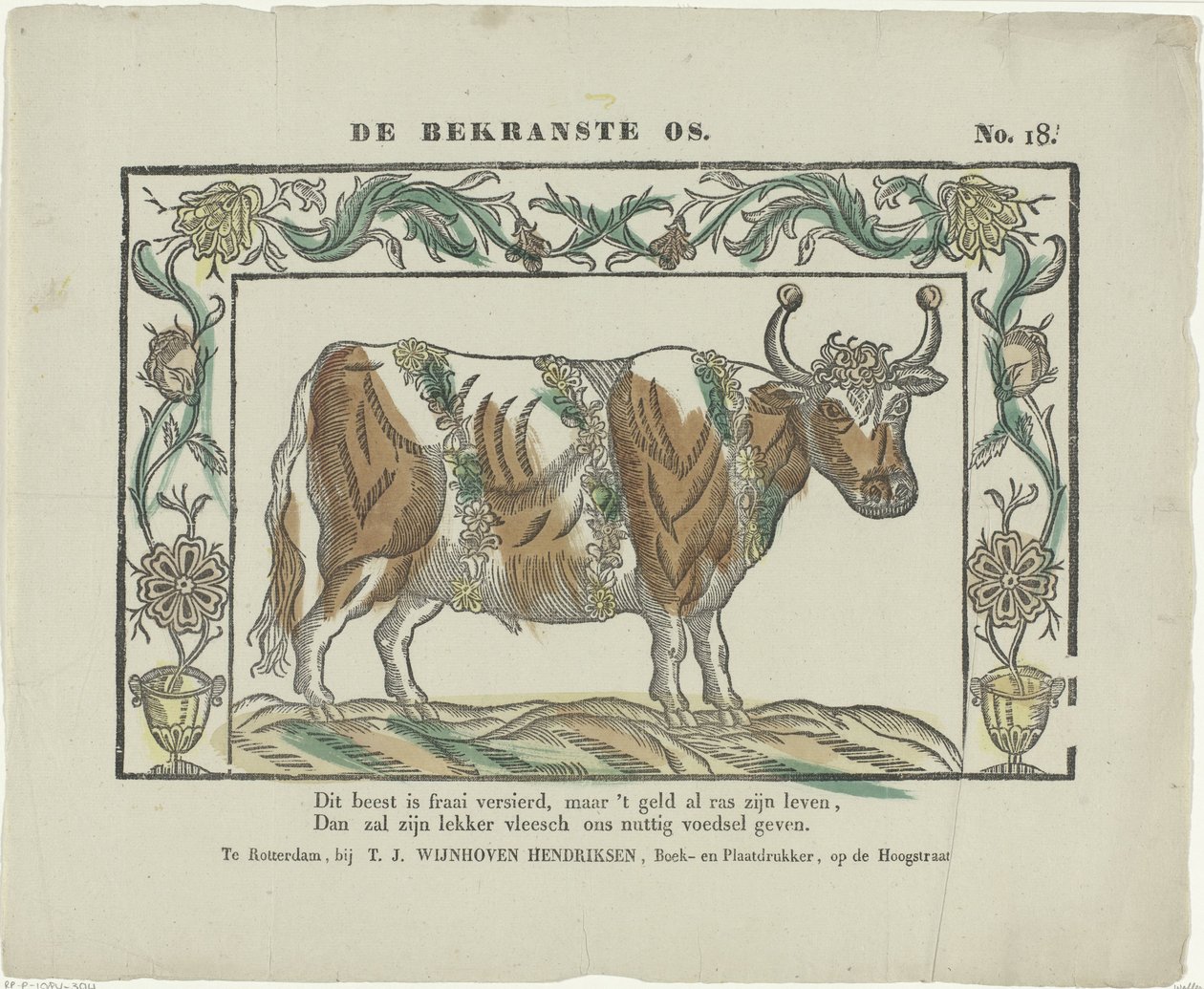 De bekraste os (tittel på objekt) av Theodorus Johannes Wijnhoven Hendriksen