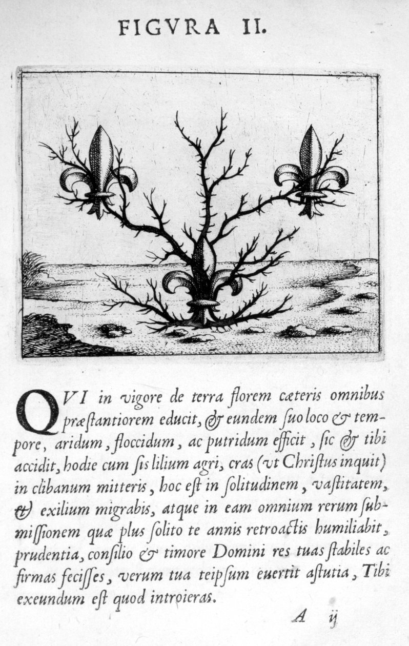 Profetifigur II fra Prognostication of the Eximii Doctor Paracelsus, 1536 av Theophrastus Bombastus von Hohenheim Paracelsus