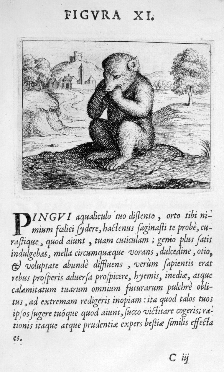 Profetifigur XI fra Prognostication of the Eximii Doctor Paracelsus, 1536 av Theophrastus Bombastus von Hohenheim Paracelsus
