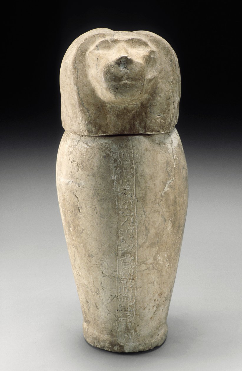Canopic Krukke med Cynocephalus-hode (kalkstein) av Third Intermediate Period Egyptian