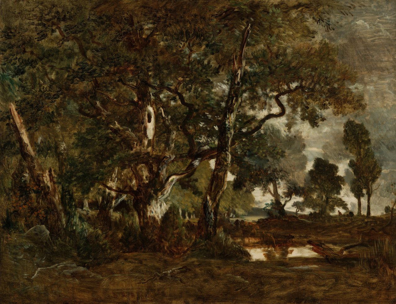 Forest of Fontainebleau, Cluster of Tall Trees med utsikt over sletten til Clair-Bois ved kanten av Ba ... av Pierre Etienne Theodore Rousseau