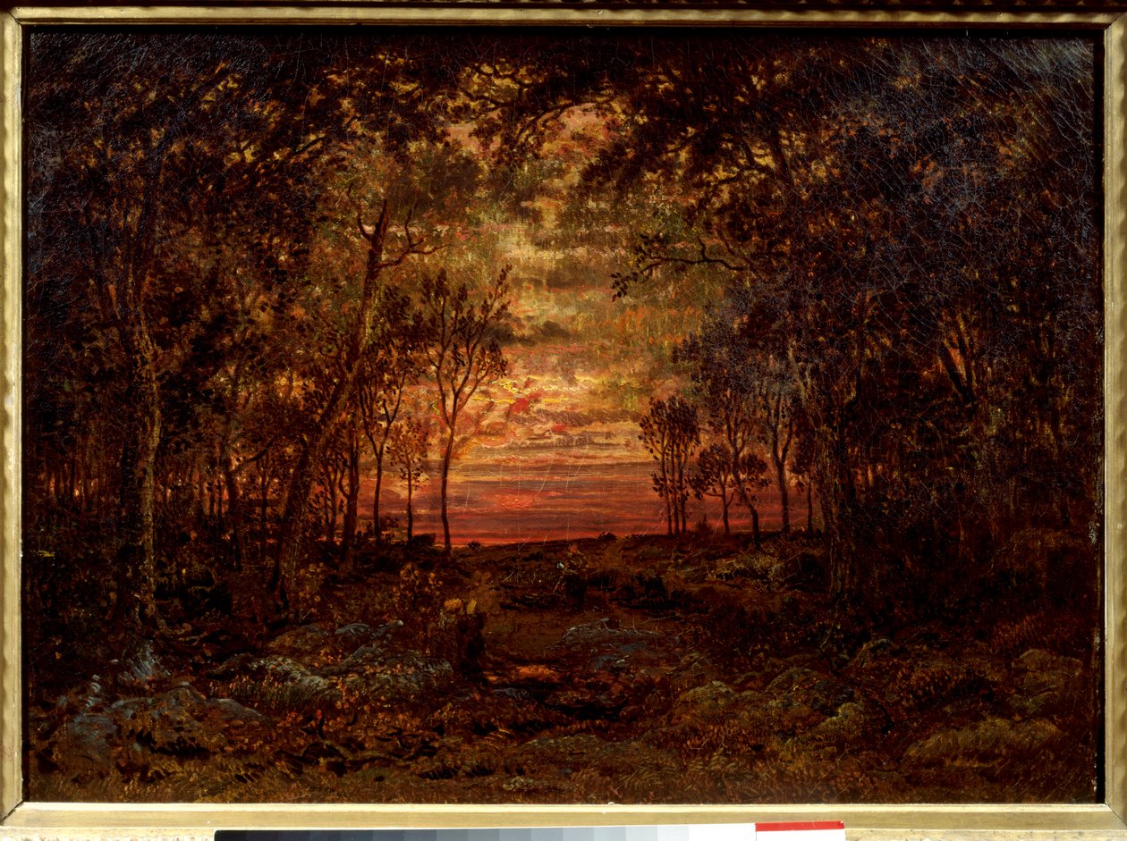 Solnedgang i skogen Maleri av Theodore Rousseau (1812-1867) Barbizon School fra 1800-tallet. Dim. 0,46x0,62m. Olje på lerret. . av Pierre Etienne Theodore Rousseau