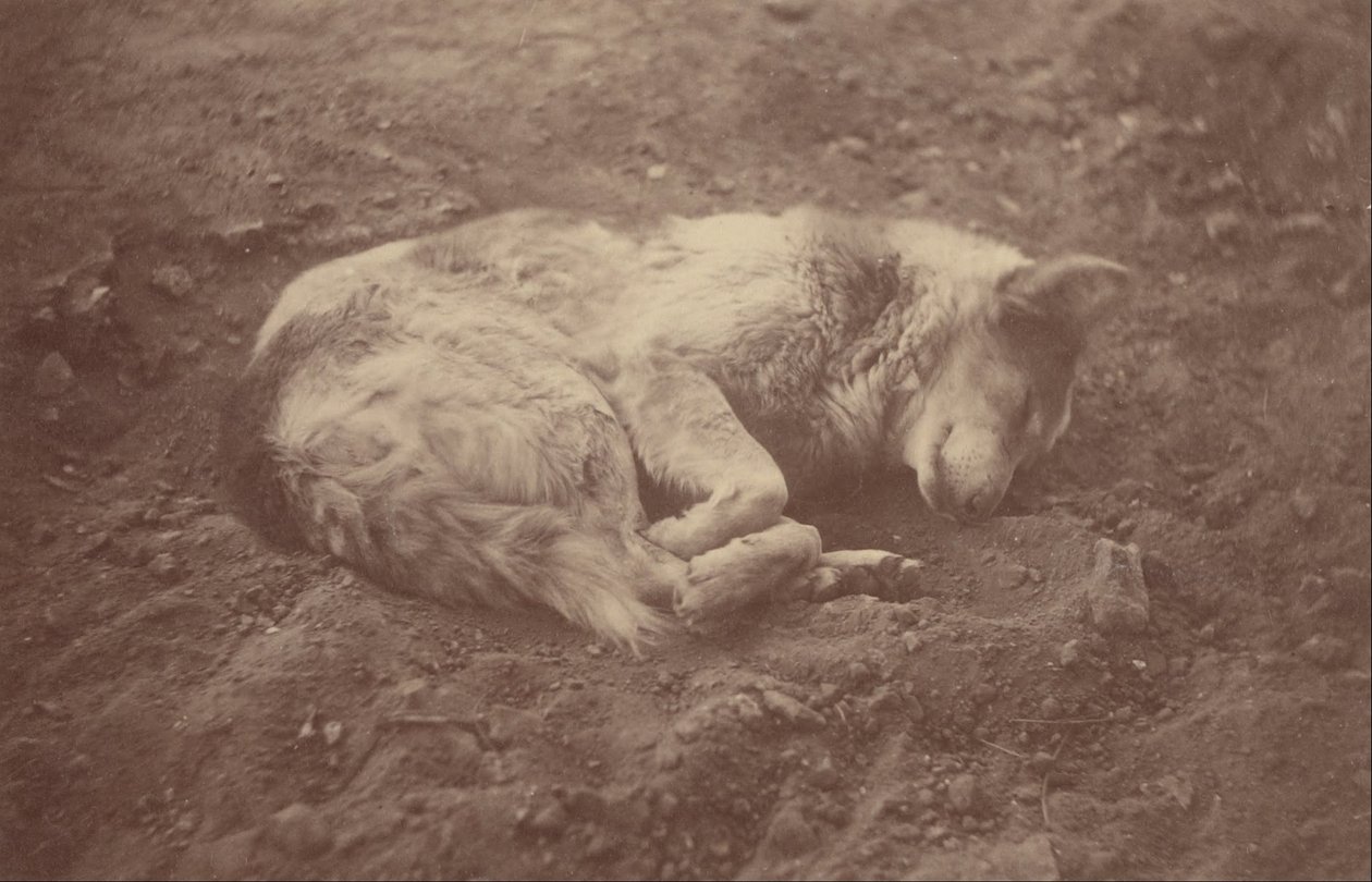 (Sovende hund) av Théodule Devéria