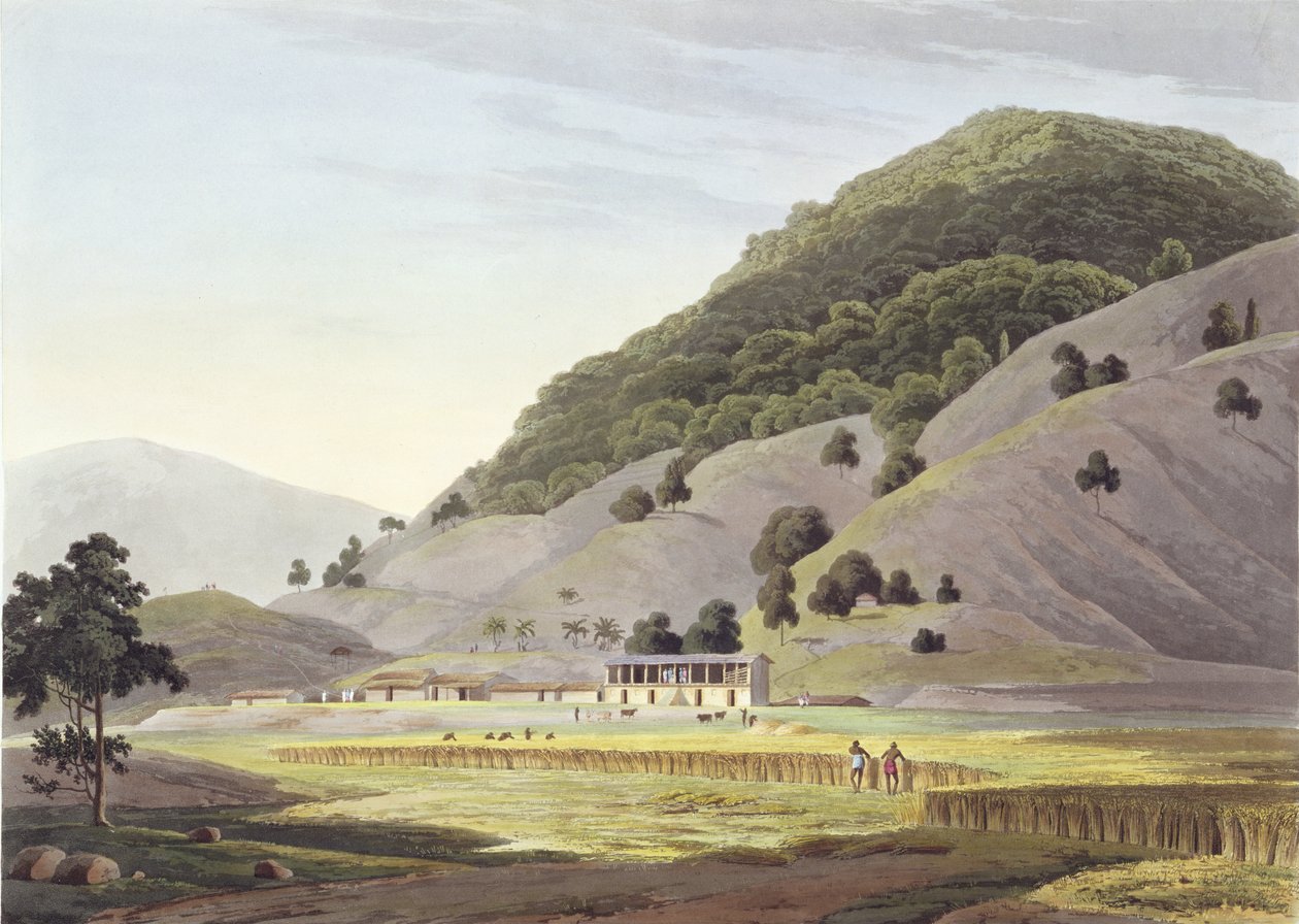 Jugeanor, i fjellene i Sirinagur, plate 142 fra 