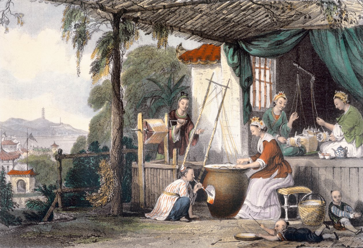 Destroying the Chrysalids and Reeling the Cocoons, fra 