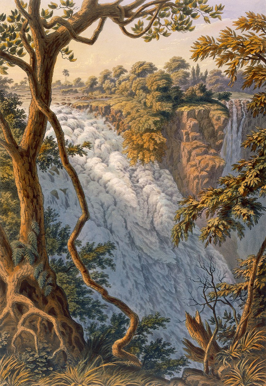 Victoria Falls: The Leaping Water av Thomas Baines
