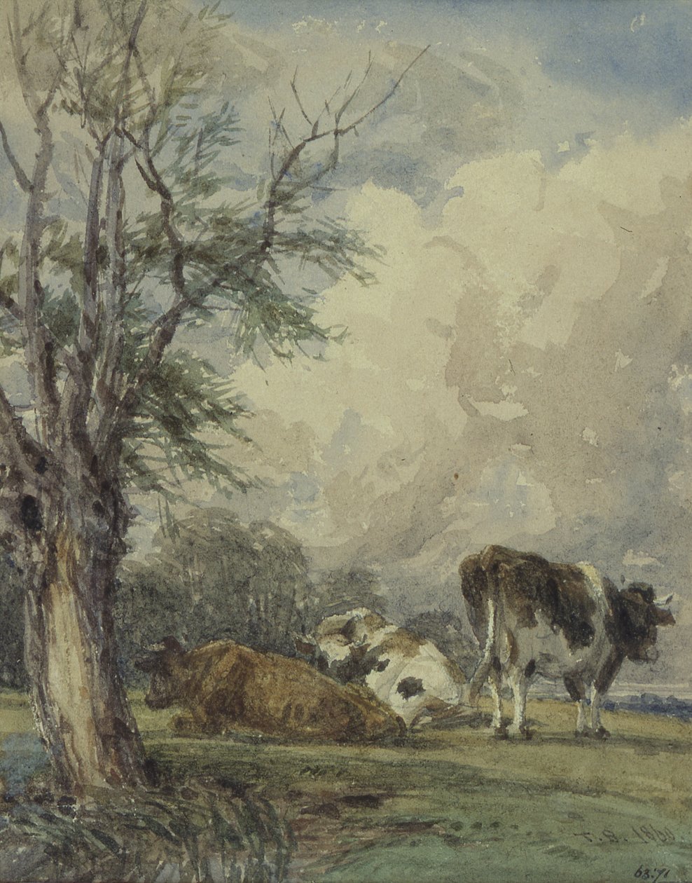 En studie av storfe, 1800-tallet av Thomas Baker