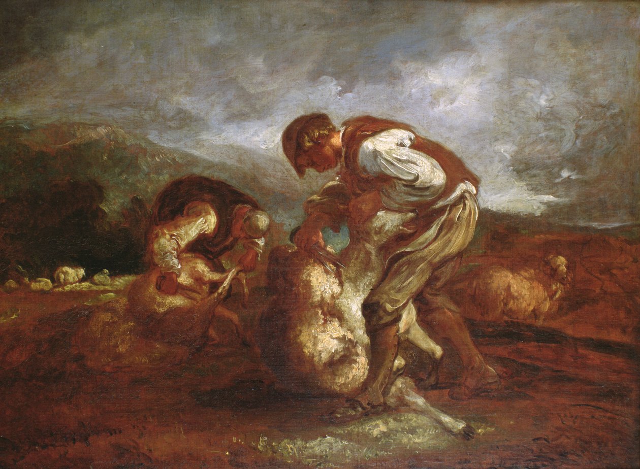 Saueklipping av Thomas Barker of Bath