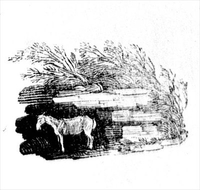 Et esel fra historien om britiske fugler og firbeinte av Thomas Bewick