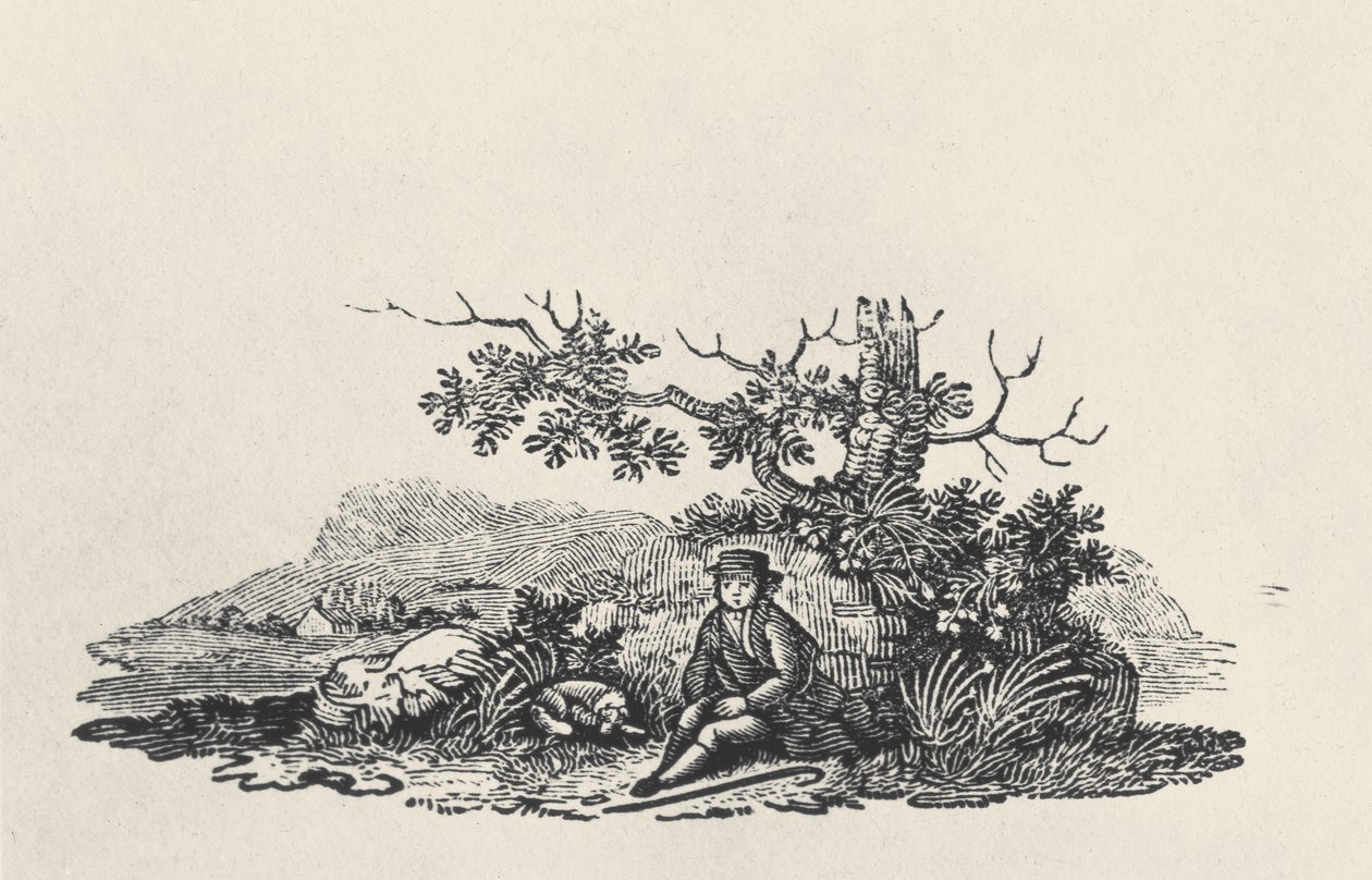 A Gentleman beneath a Tree, from Land Birds, publisert 1797 (tregravering) av Thomas Bewick
