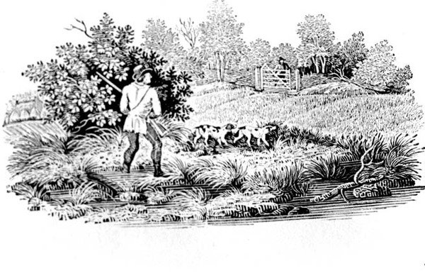 Sportsmann med to hunder fra landfugler 1797 (tregravering) av Thomas Bewick