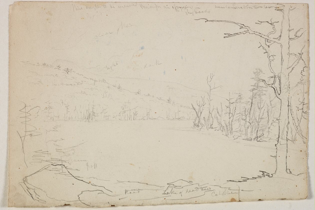 Lake of Dead Trees, Catskill, 1825 (grafittblyant på off-white papir) av Thomas Cole