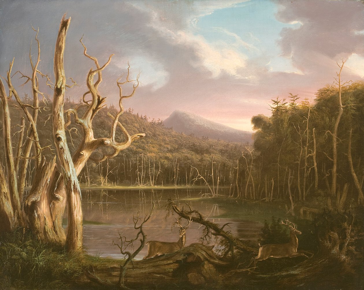 Innsjø med døde trær (Catskill) av Thomas Cole