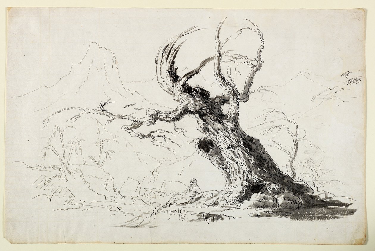 Stort knudrete tre med skjeggete mann som sitter under (penn og blekk over blyant på papir) av Thomas Cole