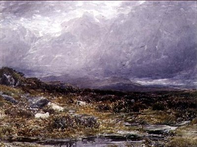 På Siabod Flats, Nord-Wales av Thomas Collier