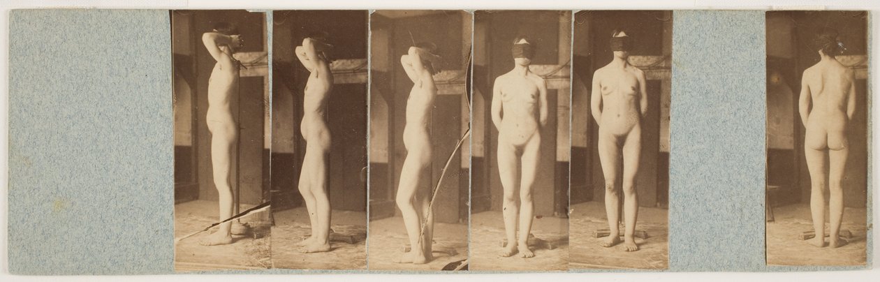 Lillie (albumin-utskrifter fra tørrplate kollodiumnegativer) av Thomas Eakins