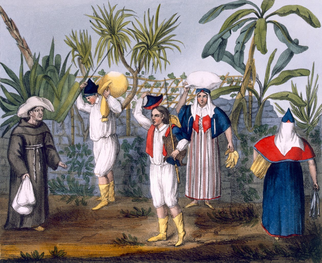 Costume of the Gambia, plate nr. 9 fra 