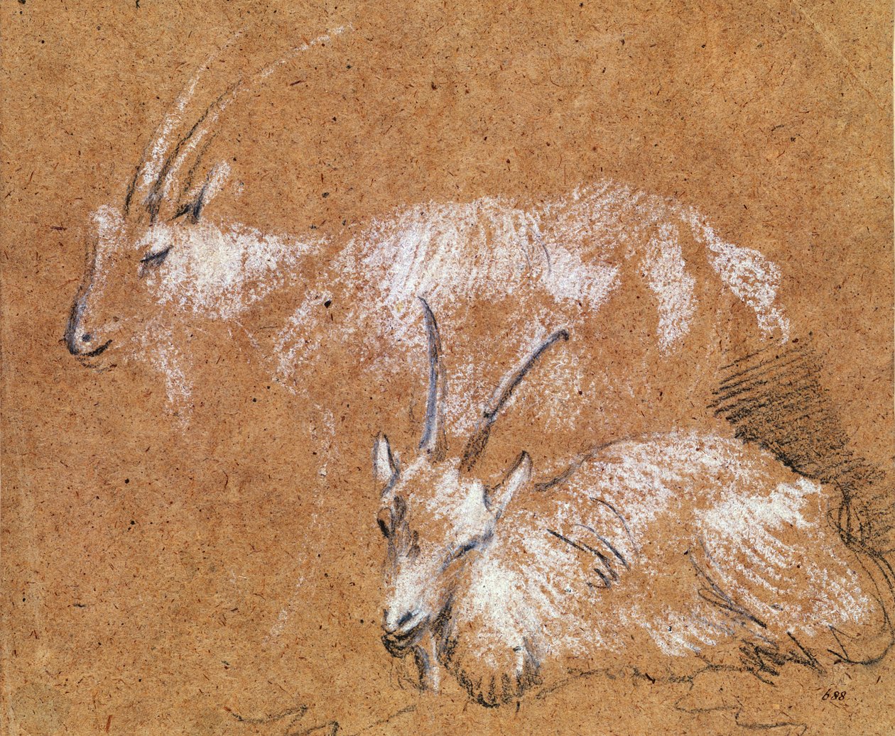 Studie av geiter (tegning) av Thomas Gainsborough