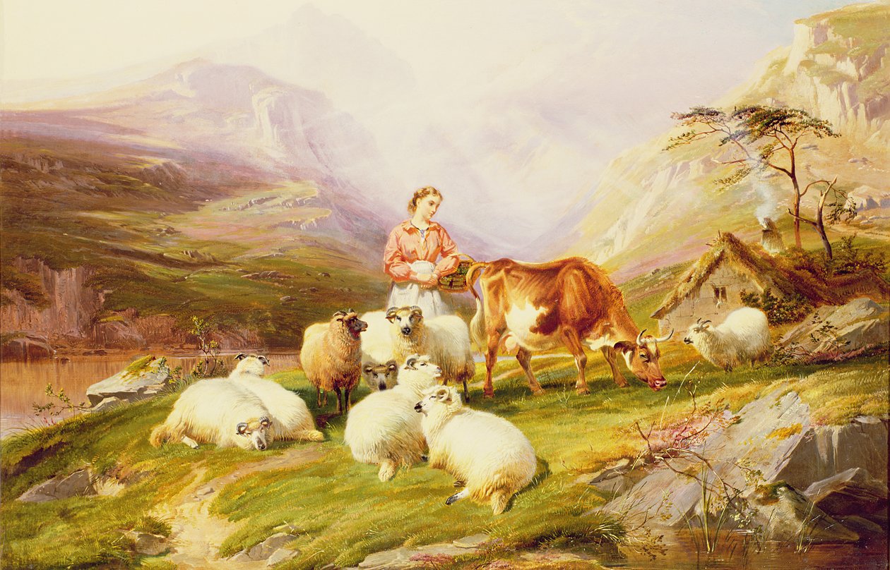 Ku og sau på et fjellbeite av Thomas George Cooper