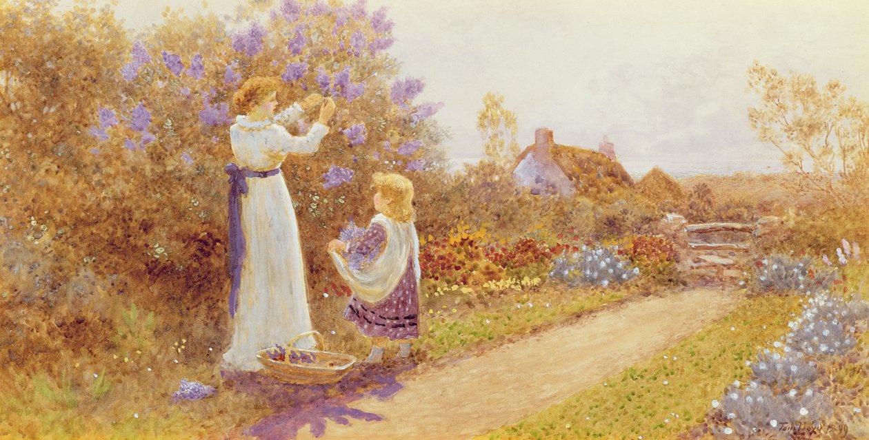 Syriner, 1899 av Thomas James Lloyd