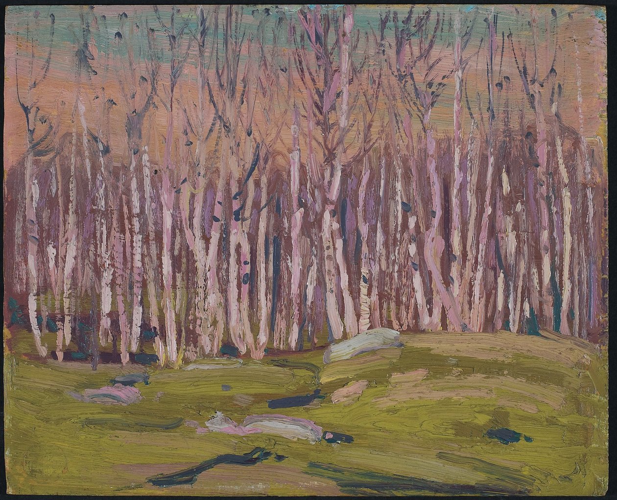 Sølvbjørker, ca. 1915 (olje på trepanel) av Tom Thomson