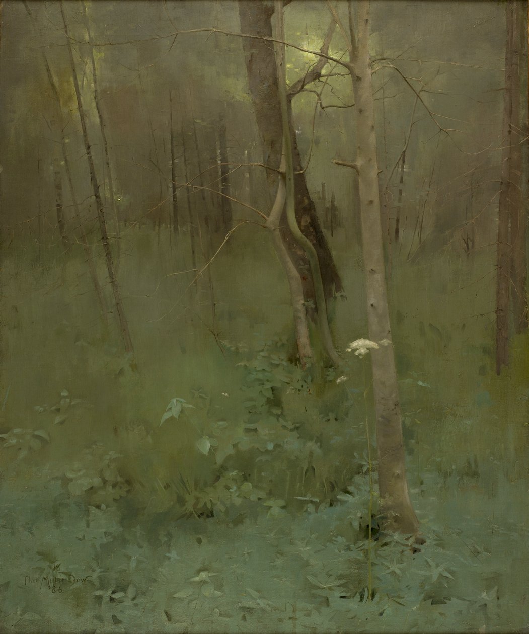 Trær, 1886 av Thomas Millie Dow