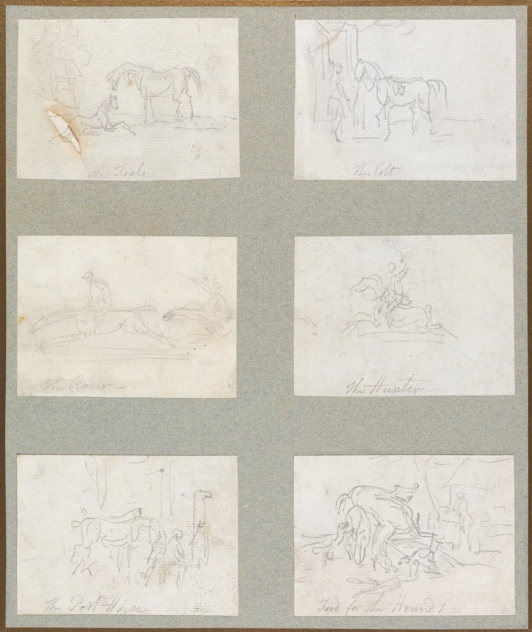 Hestens alder- Føllet, The Colt, The Racer, The Hunter, The Post-Horse, Food for the Hounds av Thomas Rowlandson