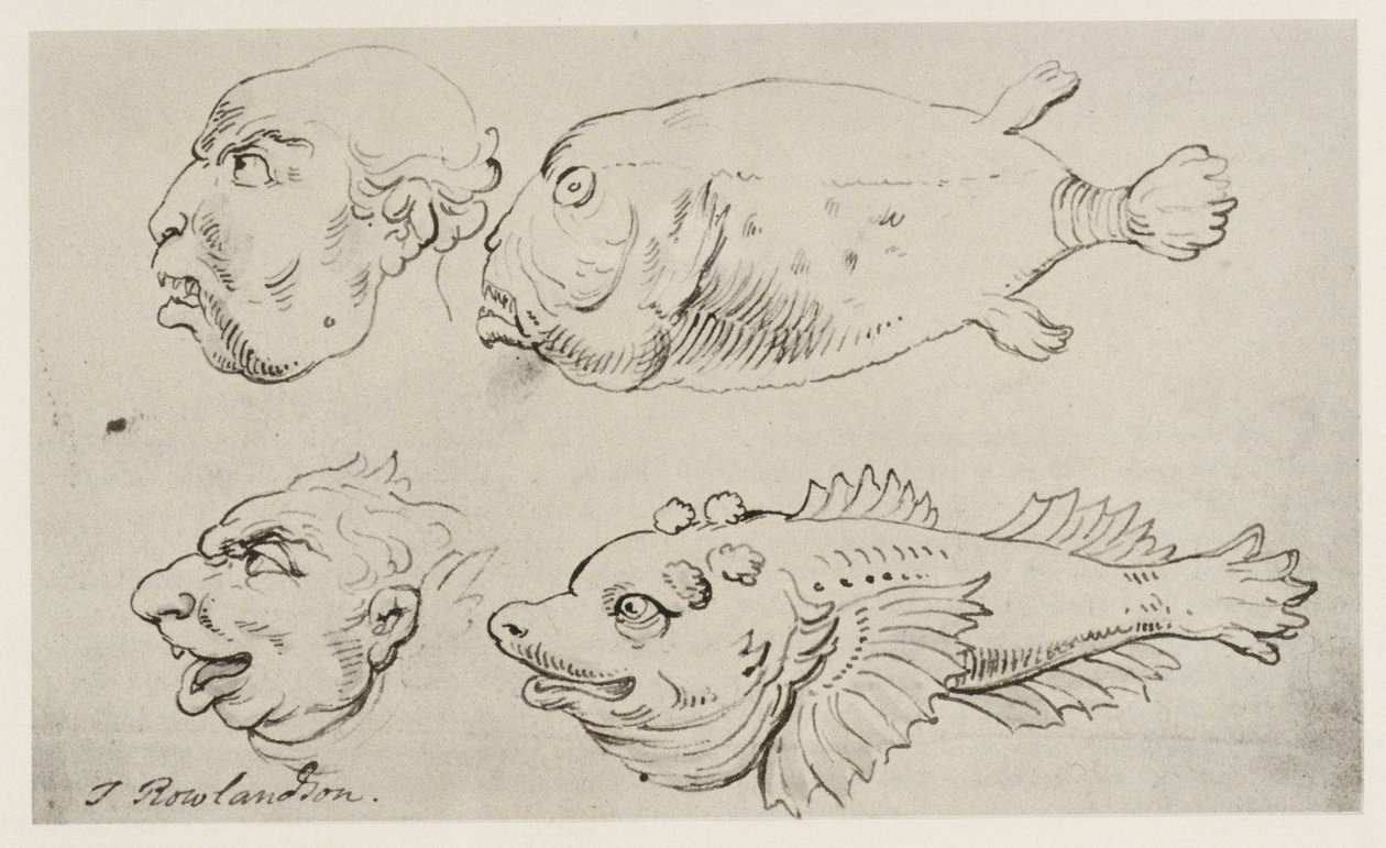 Antropomorfe hoder av menn og fisk av Thomas Rowlandson