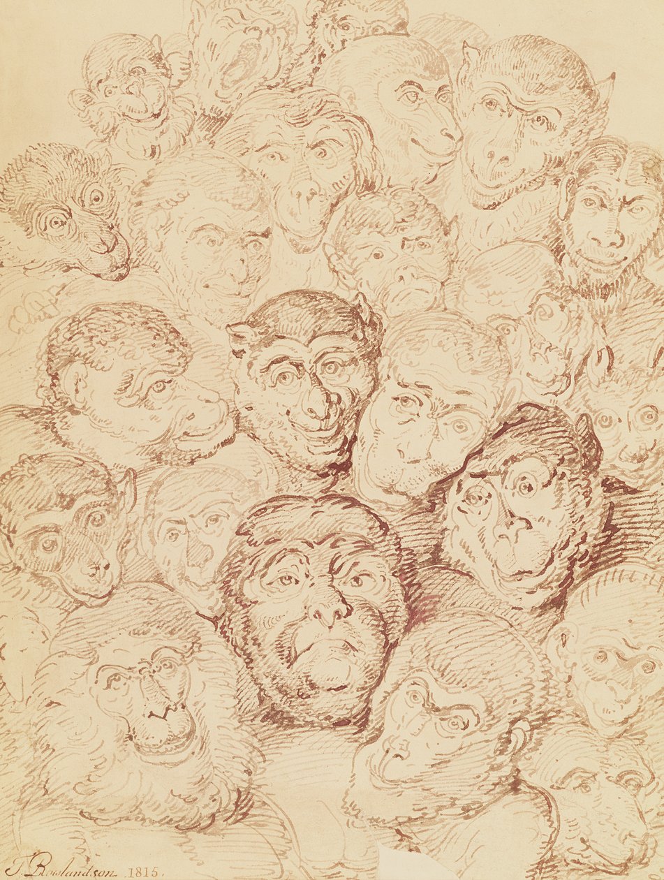 Monkey Faces, 1815 av Thomas Rowlandson