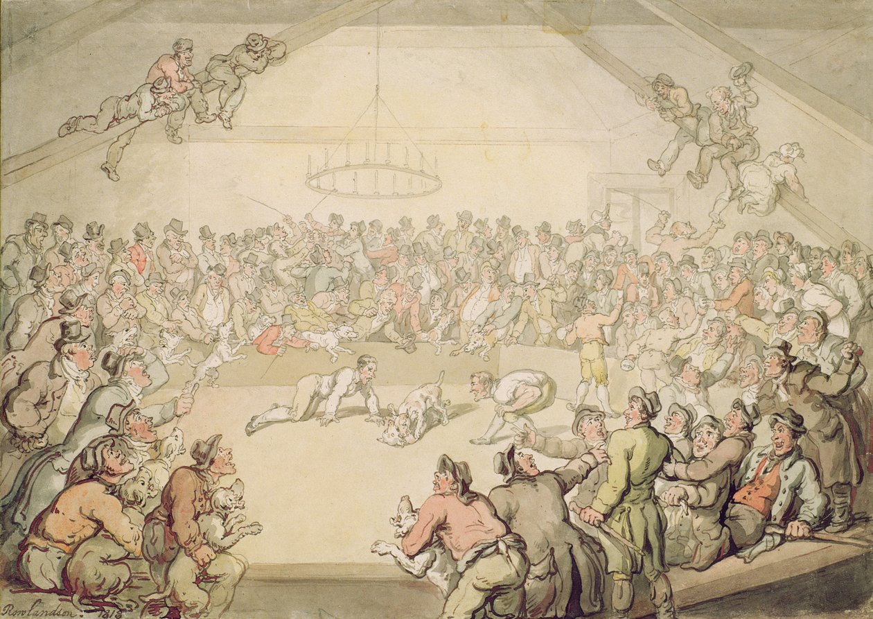Hundekampen av Thomas Rowlandson