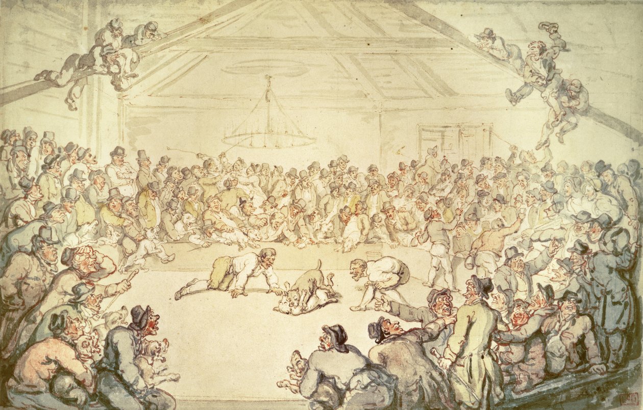 Hundekampen av Thomas Rowlandson