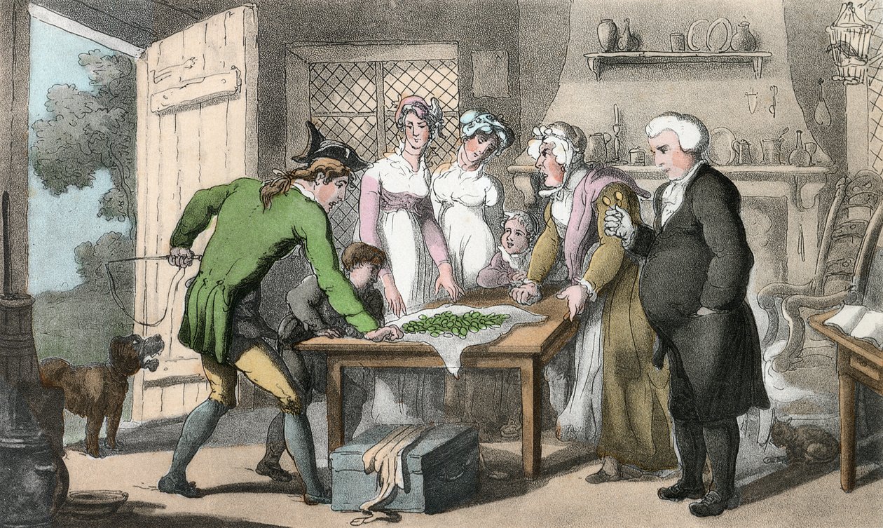 The Gross of Green Spectacles, illustrasjon fra 'The Vicar of Wakefield' av Oliver Goldsmith, pub. Ackermann, 1817 (håndfarget akvatint) av Thomas Rowlandson