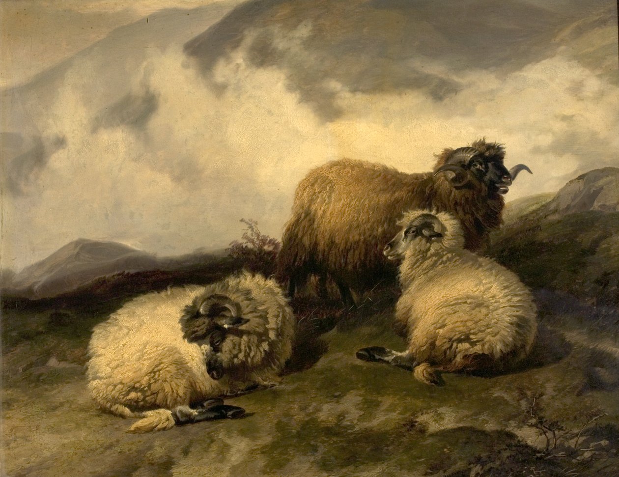 Fjellsau (morgentåke rydder av) 1846 av Thomas Sidney Cooper