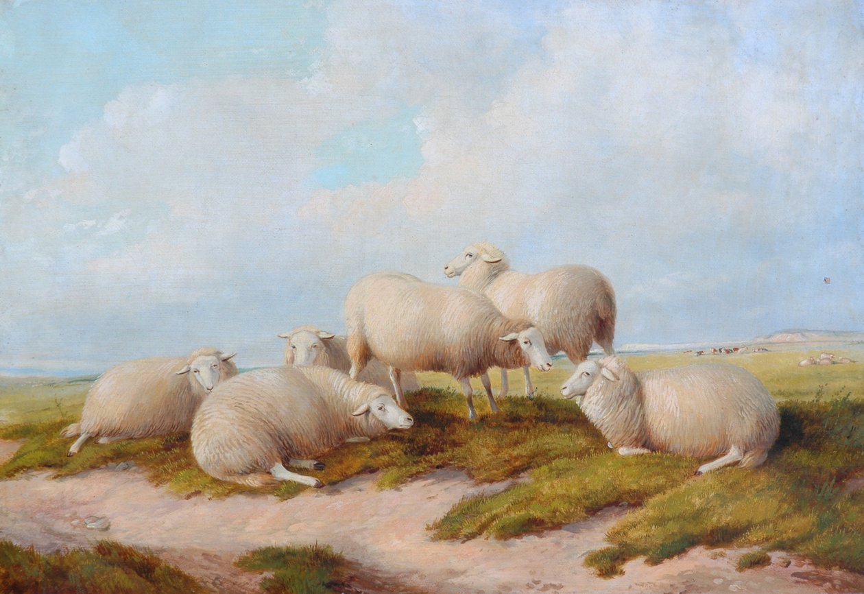 Sau av Thomas Sidney Cooper